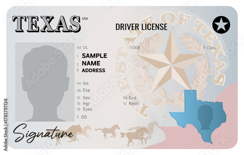 Texas driver license isolated on white background. Person driver license.