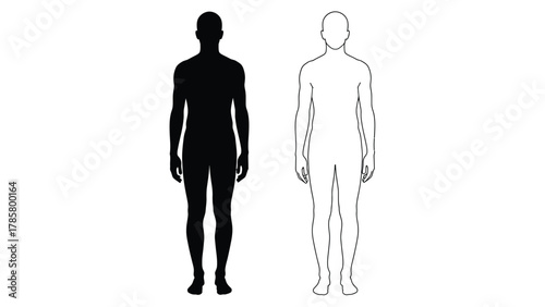 Male Body Outline and Silhouette Vector Template. Standing Human Figure Representation for Medical, Fitness, or Design Diagrams.