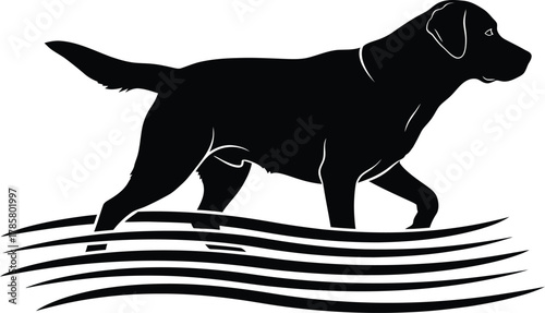 Black labrador retriever walking in water vector illustration design eps silhouette