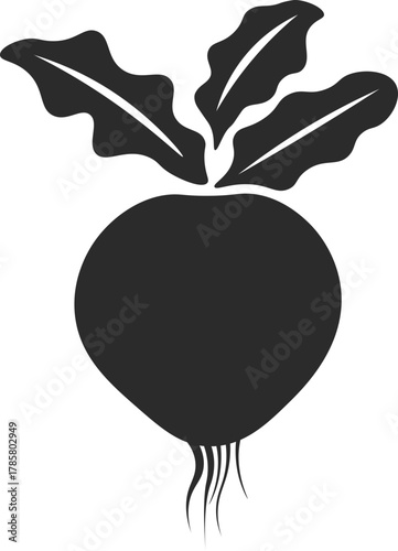 beetroot vegetable icon in dark grey and clear background