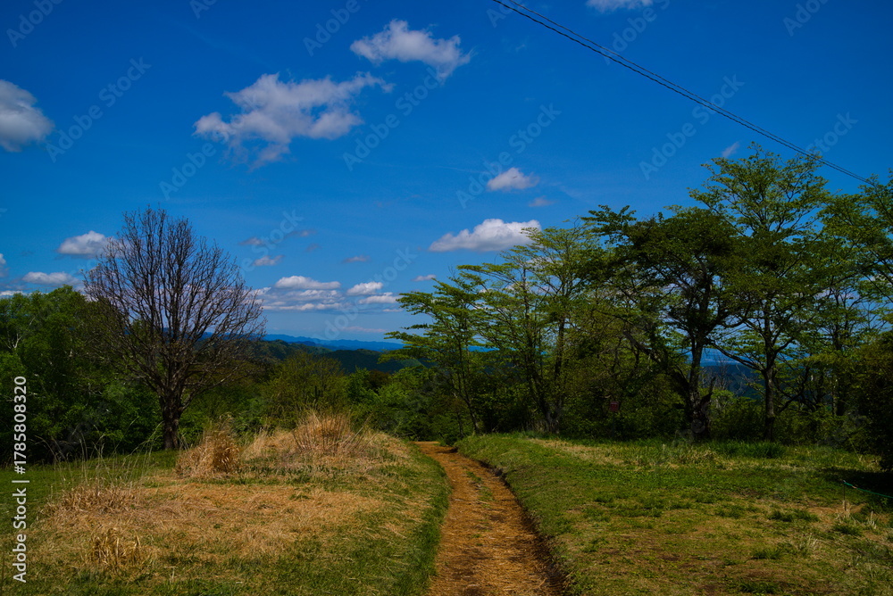 Obraz premium 頂上への道