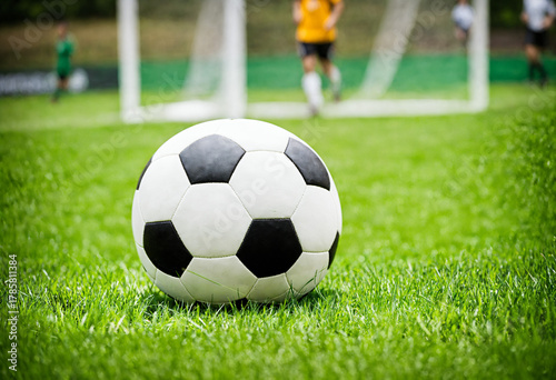 a black and white soccer ba...
