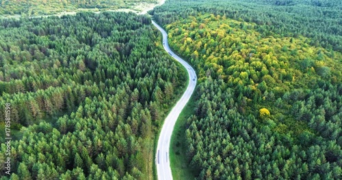 Aerial view of winding road through green forest with car traffic