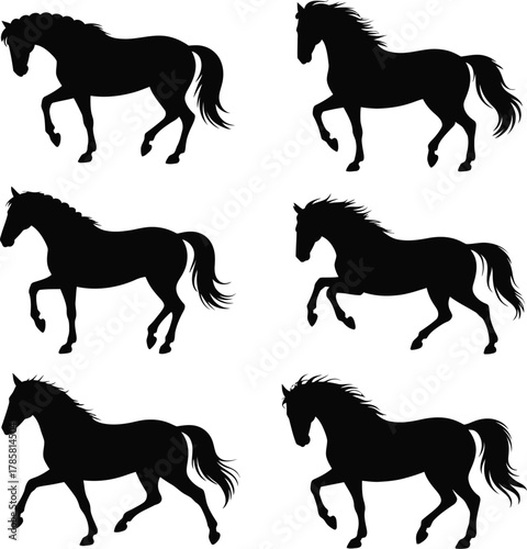 Black horse silhouettes in motion animal equine