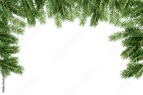 christmas tree branches border frame on white

