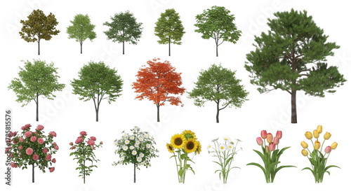 Tree isolated on transparent background