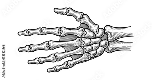 Intricate hand skeleton engraving in vintage style