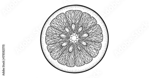 Detailed black and white grapefruit slice with intricate pattern