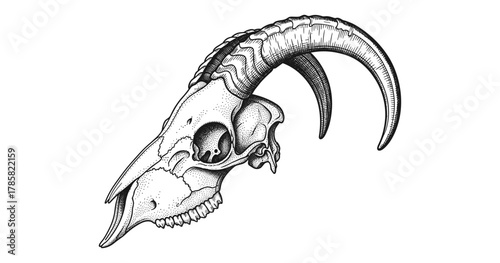 Detailed black and white goat skull with horns in vintage style