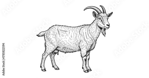 Highly detailed black and white goat drawing with intricate line art for nature themes