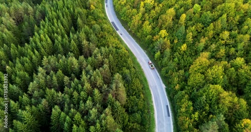 Cars driving on winding road through green forest landscape