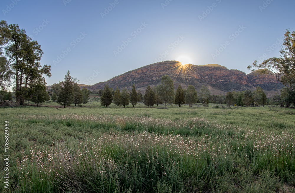 Fototapeta premium Sunset Flinders Rangers
