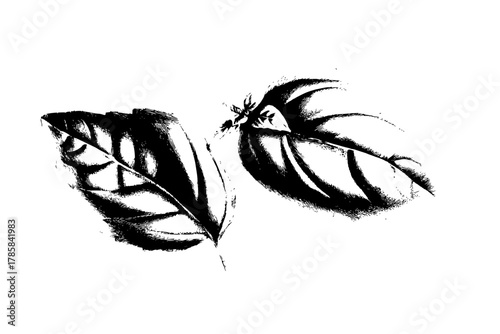 Nature's Palette: Symphony Leafy Textures Patterns | Clean, isolated vector art for creative projects.