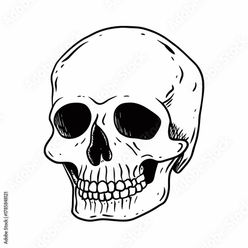 Hand drawn human skull sketch illustration isolated on white background