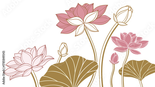 An elegant, stylized illustration of blooming pink lotus flowers, buds, and golden leaves on a white background.