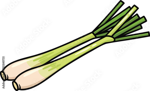 Two Lemongrass Stalks with Green Leaves on White Background