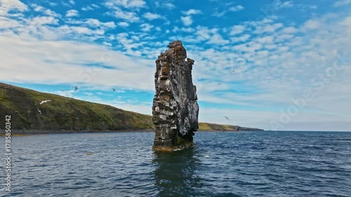 Drone view of Hvitserkur rock and coastline, Iceland. Basalt sea stack near Vatnsnes Peninsula cliffs.