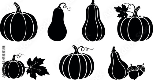 Various pumpkin and gourd shapes black silhouette vector collection for autumn and Halloween designs 