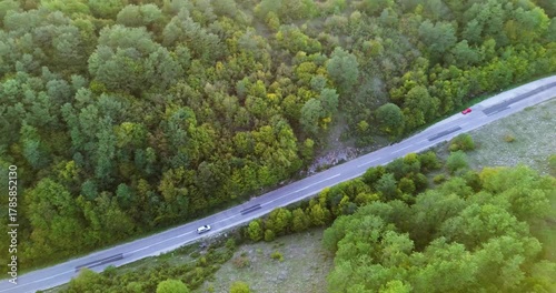 Aerial view of cars driving on a winding forest road
