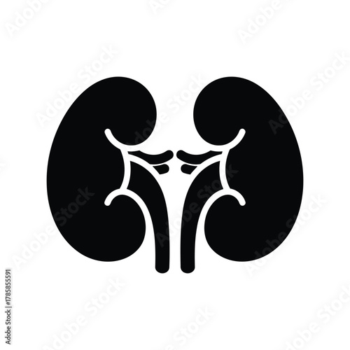 Human kidneys medical icon   simple renal organ anatomy silhouette illustration