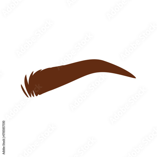 Natural brown eyebrow vector illustration: beauty, makeup, grooming, and cosmetic design element