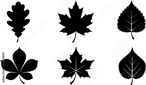 Six black silhouette autumn leaves collection with oak, maple, chestnut, and linden vector illustration 