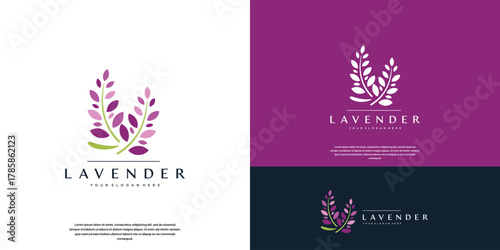 The natural benefits of lavender flowers, as ingredients in perfumes, various fragrances, and vector graphic design.