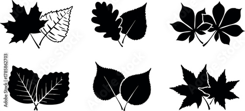 Black silhouette autumn leaves set vector illustration of six different leaf shapes 