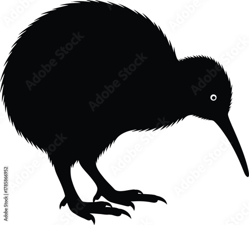Kiwi bird silhouette vector illustration new zealand icon graphic art eps
