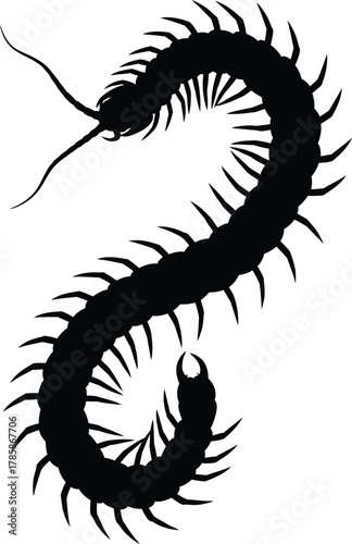 Black centipede silhouette vector illustration creepy insect design eps