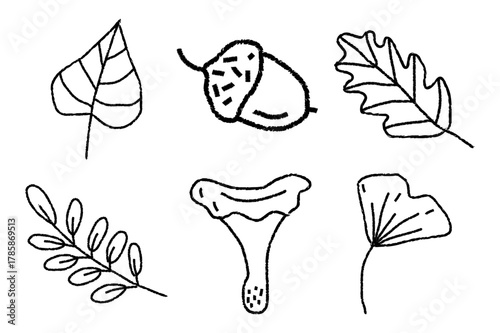 Hand Drawn Autumn Doodles Vector Illustration. Leaves, Berries, Mushrooms, Acorns, and Flowers on White Background