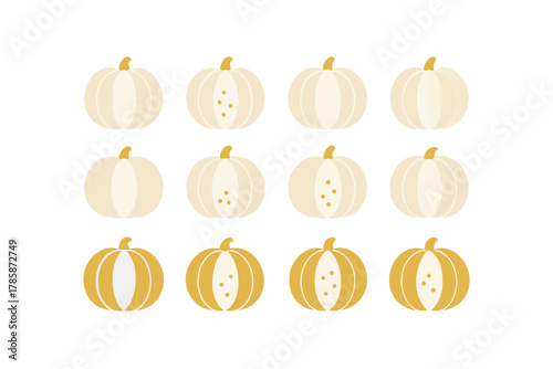Collection of Twelve Yellow and White Pumpkins illustration vector