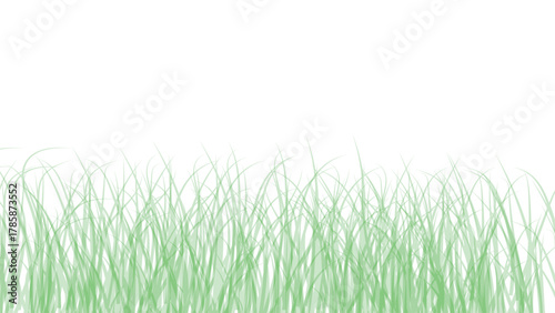 Light green grass border illustration on white background for nature designs and decoration projects
