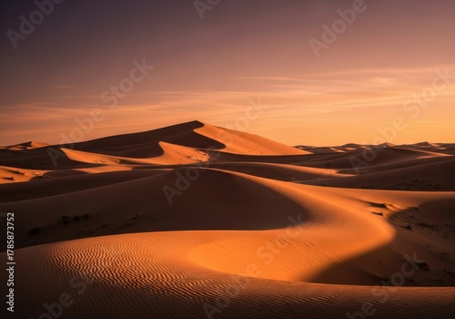 sunset in the desert