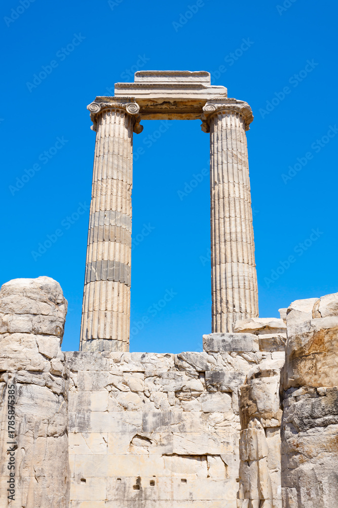 Fototapeta premium Temple of Apollo ruins at Didyma ancient sanctuary in Didim city in Turkey