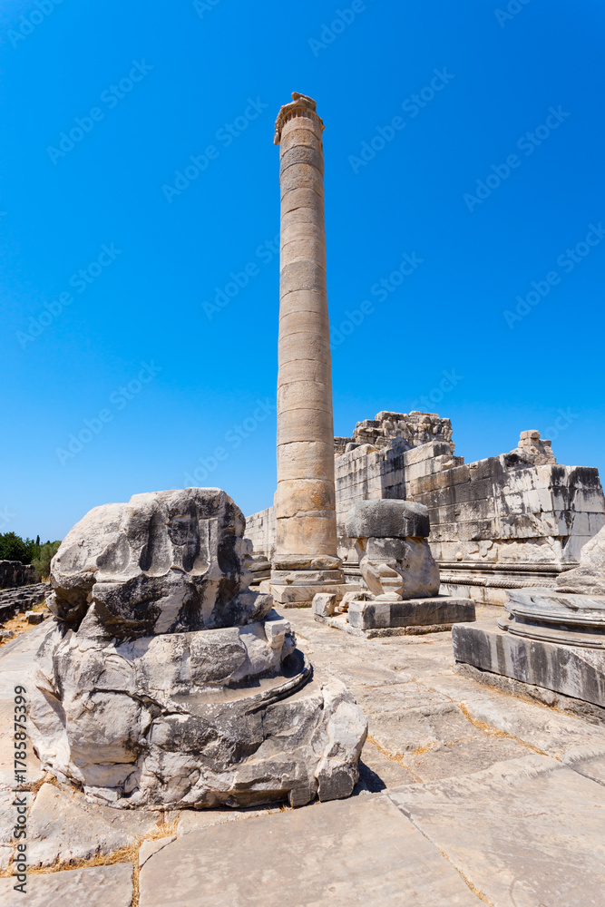 Fototapeta premium Temple of Apollo ruins at Didyma ancient sanctuary in Didim city in Turkey