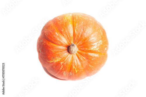 pumpkin isolated on white background