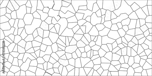 Abstract Geometric Pattern of Irregular Polygonal Cells in Black Outline on White Background for Modern Design and Texture Applications
