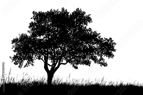 A striking black silhouette of a lush, broad tree with grassy ground on a white background