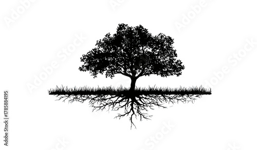 Black silhouette of a tree with lush canopy, grass, and exposed roots on white