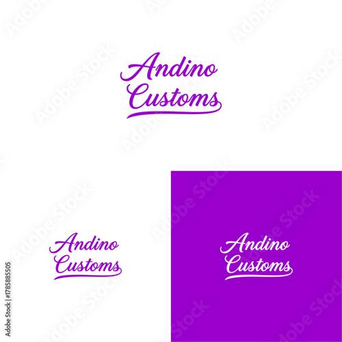 Elegant Andino Customs Logo Design Showcasing a Sophisticated Brand Identity Creation