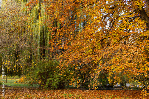 Photography Autumn season transforming vojan gardens in prague into a vibrant landscape of g