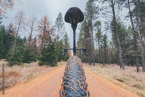 bike in the forest