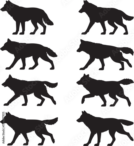 Various poses of wolf animal silhouette vector clipart collection