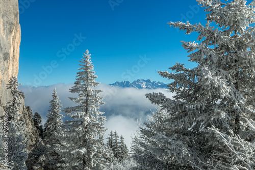 L' hiver en montagne , massif de la Chartreuse , Aulp du Seuil , Col de Marcieu , vue sur Pic du Frêne,Isère , France