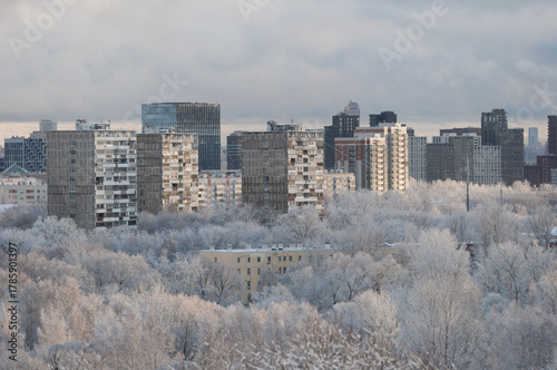 Modern skyscraper on the edge of nature