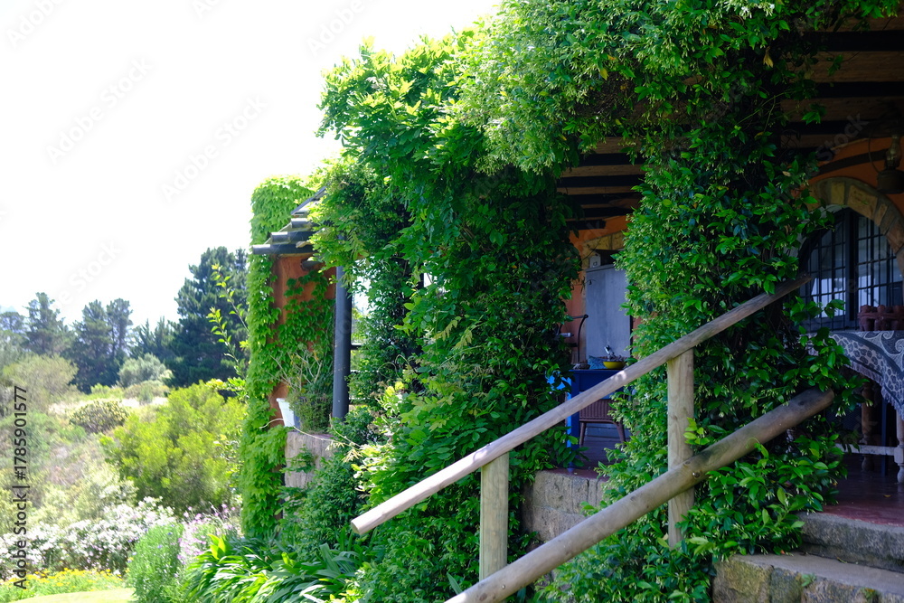 Fototapeta premium staircase in the garden