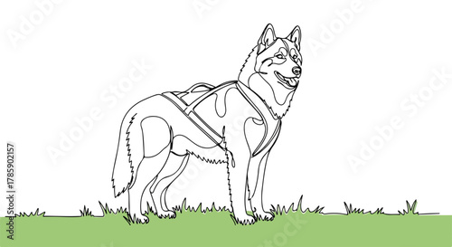 Husky dog with a harness in continuous line art. Minimalist single line drawing of a sled dog. Isolated graphic for pet and winter themes