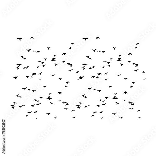 A flock of birds soaring gracefully across the bright blue sky, symbolizing freedom, peace, and harmony with nature.