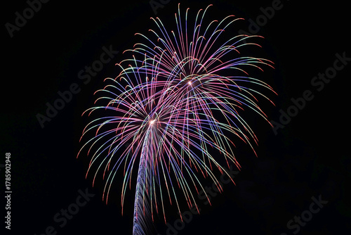 常総きぬ川花火大会「山﨑煙火製造所・日本の花火BESTセレクション」